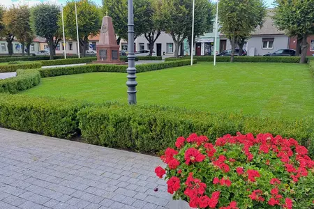 Rynek w Książu Wlkp. - założenie nowego trawnika z nawodowniem wokół Pominika Rozstrzelanych