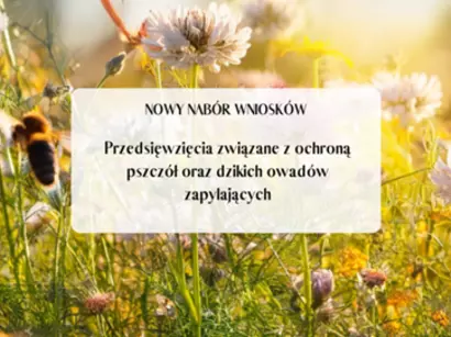 Nabór wniosków na dotacje dla pszczelarzy z Wojewódzkiego Funduszu Ochrony Środowiska i Gospodarki Wodnej