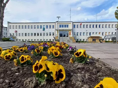 W sobotę, 17 maja zapraszamy do Urzędu