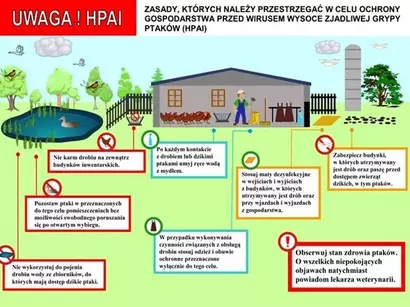 Rozporządzenie Wojewody Wielkopolskiego w sprawie zwalczania wysoce zjadliwej grypy ptaków (HPAI) na terenie województwa wielkopolskiego