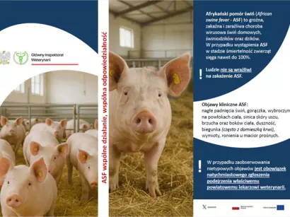 Aktualne informacje o ASF i wysoce zjadliwej grypie ptaków