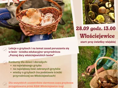 II gminne grzybobranie „Poznaj dary Włościejewickich lasów”