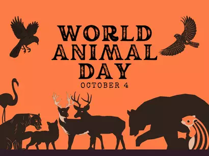 Światowy Dzień Zwierząt