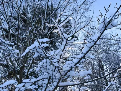 Nie bądźmy obojętni - reagujmy! Akcja Zima - Pomoc osobom w kryzysie bezdomności