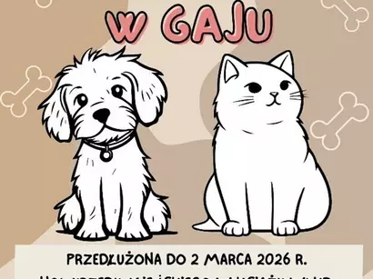 Przedłużenie akcji dla podopiecznych Schroniska dla Zwierząt w&nbsp;Gaju 
