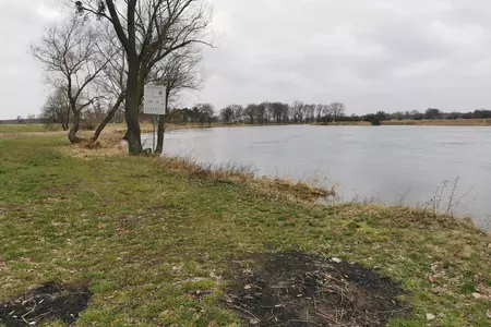 Widok na rzekę Wartę.
