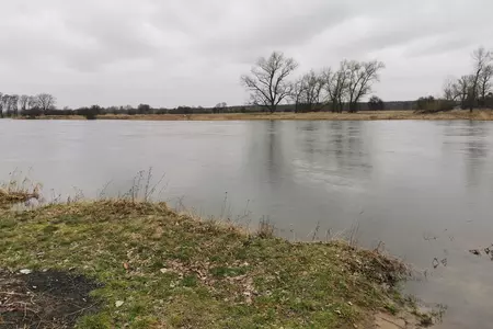 Widok na rzekę Wartę.