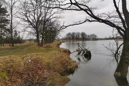 Widok na rzekę Wartę.